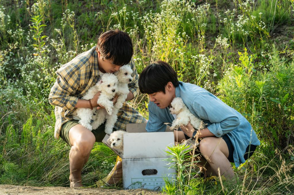 狗狗電影推薦 10部日韓歐美感人作品：毛小孩帶給你哭笑感動！