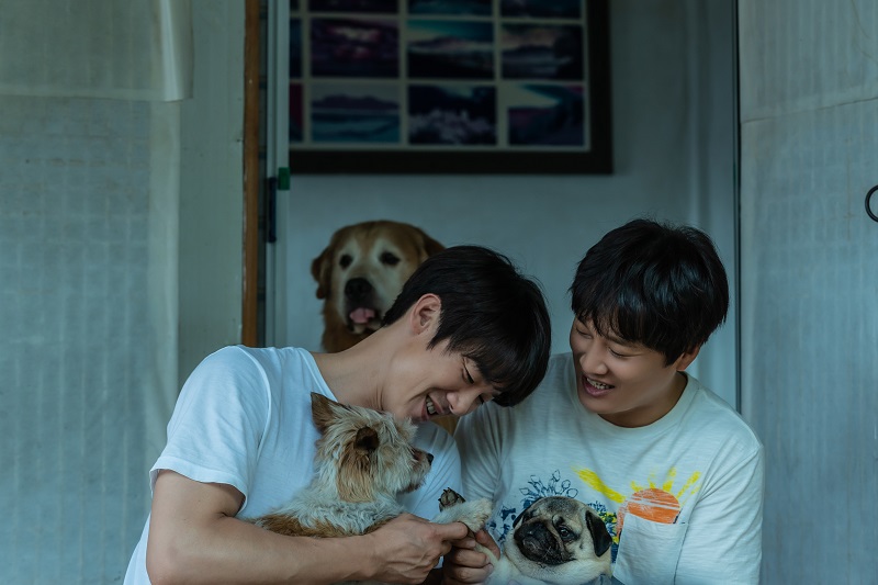  狗狗電影《超完美狗保姆》韓國影史最動人之作 柳演錫x車太鉉逼哭觀眾